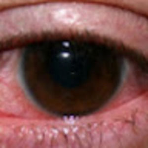 Meet your Posher, Nicholas